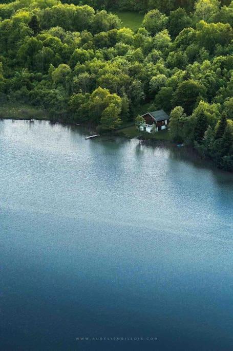 Villa Jura, L'Ecrin A Pied Entre Village Et Pistes Foncine-le-Haut Exterior foto