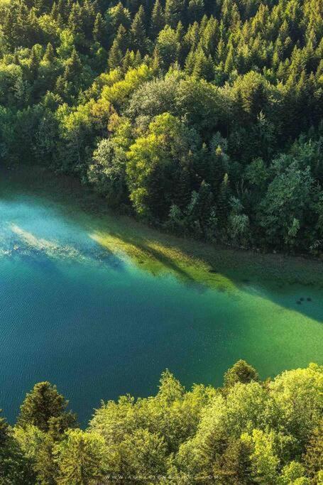 Villa Jura, L'Ecrin A Pied Entre Village Et Pistes Foncine-le-Haut Exterior foto